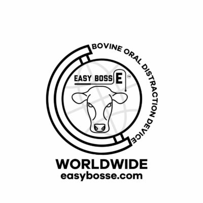 Worldwide Image